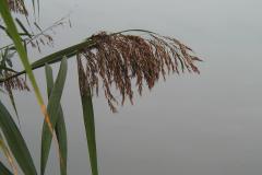 P9300018